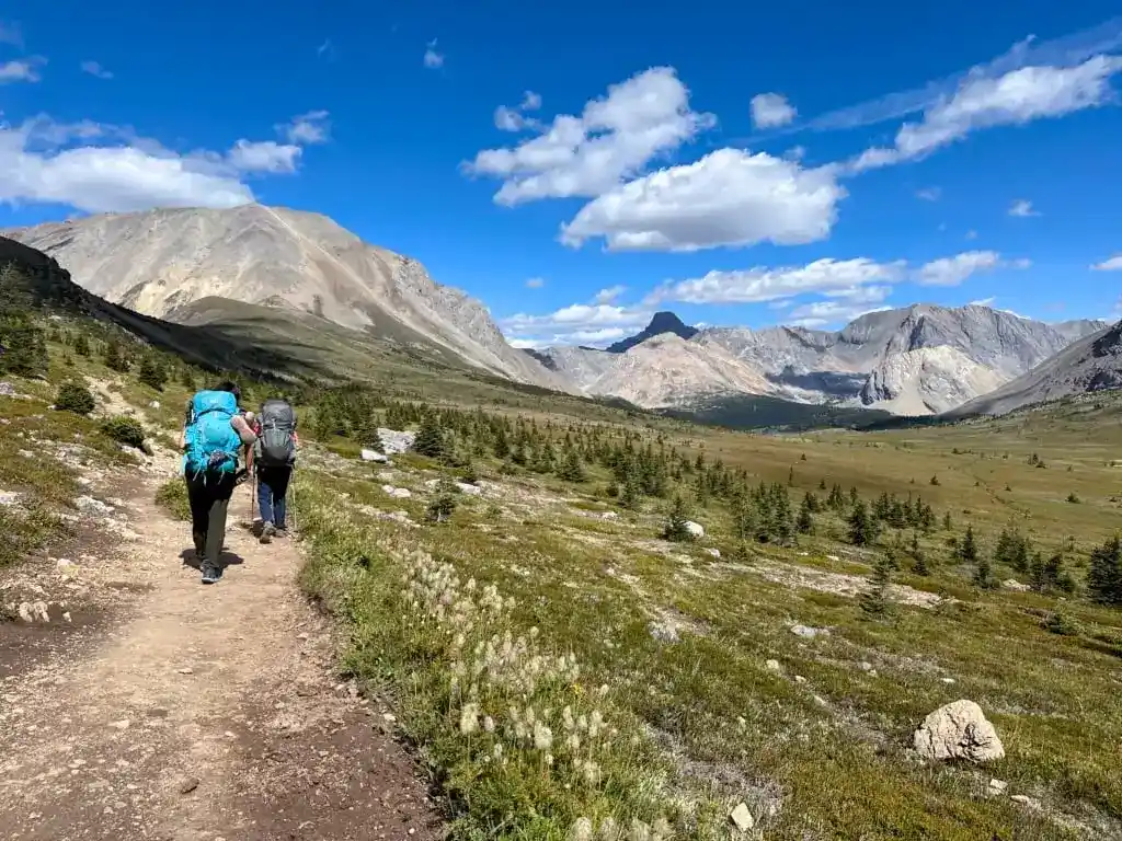 Hikers in wildflower meadows near Ptarmigan Lake in Banff National Park