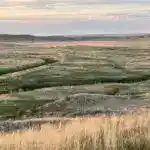 View of a river valley and bison in Grasslands National Park